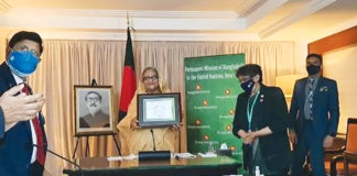 জাতিসংঘের এসডিজি অগ্রগতি পুরস্কার পেলেন প্রধানমন্ত্রী