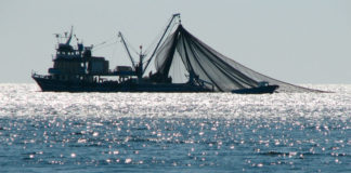 বাংলাদেশে সমুদ্র অর্থনীতির চ্যালেঞ্জ ও সম্ভাবনা