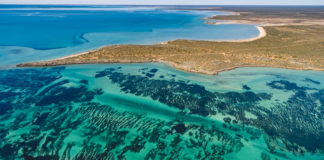 সামুদ্রিক উষ্ণপ্রবাহ সামুদ্রিক পরিবেশের বড় নিয়ামক