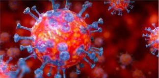 জাহাজ ভাড়া বৃদ্ধি আর জ্বালানি তেলের দাম বৃদ্ধি অর্থনীতিতে বেশি প্রভাব ফেলেছে