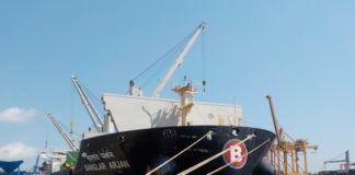 পণ্য পরিবহনে বাড়ছে দেশিয় পতাকাবাহী জাহাজ