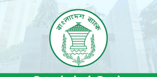 সেবা রপ্তানির আয় চার মাসের মধ্যে আনতে হবে