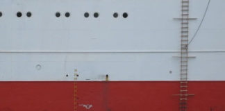 তাইওয়ানে ল্যাডার থেকে পড়ে পাইলটের মৃত্যু