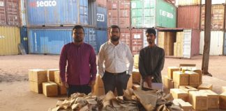 ভুয়া রপ্তানি দেখিয়ে প্রণোদনা আদায়ের চেষ্টা