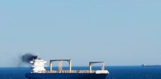 নিঃসরণ মোকাবিলায় বাল্টিকে মোতায়েন হচ্ছে বিশেষ ড্রোন