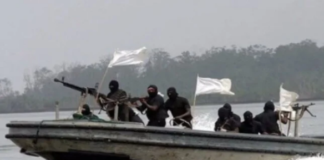 গিনি উপসাগরের চেয়ে বেশি ঝুঁকিপূর্ণ দক্ষিণ-পূর্ব এশিয়ার জলসীমা: আইএমবি