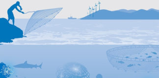 সমন্বিতভাবে কাজ করলে ব্লু ইকোনমি দেশের জিডিপি ৩ শতাংশ বাড়াবে