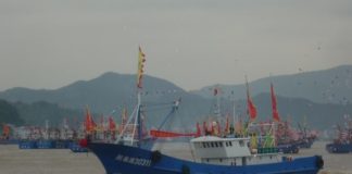 মহেশখালী-মাতারবাড়ি গভীর সমুদ্রবন্দর মাছ রপ্তানি বাড়াবে