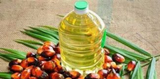 সোমবার থেকে পাম তেলের রপ্তানি নিষেধাজ্ঞা তুলে নিচ্ছে ইন্দোনেশিয়া