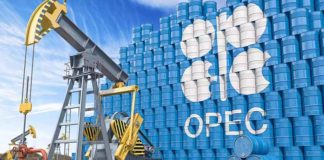 জ্বালানি উত্তোলন বাড়াবে ওপেক প্লাস