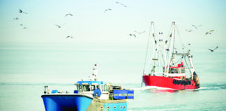 সামুদ্রিক মৎস্য আহরণ প্রযুক্তি ও তথ্যপ্রবাহে বৈপ্লবিক রূপান্তর