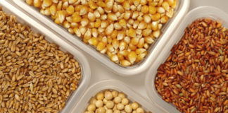 খাদ্যশস্যের বৈশ্বিক উৎপাদন কমার পূর্বাভাস আইজিসির