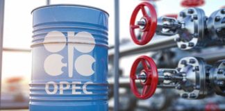 সেপ্টেম্বরেও তেল উত্তোলন বাড়াবে ওপেক প্লাস