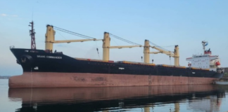 ইউক্রেন থেকে আফ্রিকায় খাদশস্য পাঠাতে জাহাজ ভাড়া করেছে জাতিসংঘ