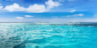 পঞ্চম দফার বৈঠকেও সমুদ্র রক্ষার চুক্তি করতে পারল না জাতিসংঘ