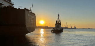 ইউক্রেনের বন্দর ছাড়ল খাদ্যপণ্যবাহী আরও চার জাহাজ