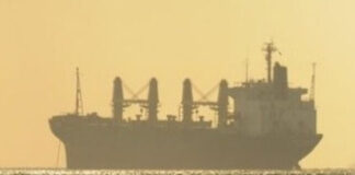 খাদ্যে বিষক্রিয়ায় চীনা বাল্কারের ১২ ক্রুর মৃত্যু, নয়জনের অবস্থা আশঙ্কাজনক