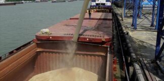 ইউক্রেনের খাদ্যশস্য রপ্তানির ঊর্ধ্বগতি অব্যাহত