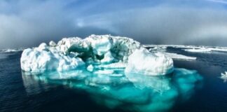 আর্কটিকের পানিতে অম্লত্ব বাড়ছে চারগুণ দ্রুত
