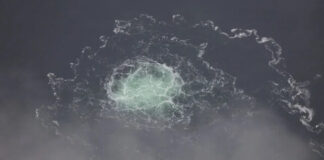 ডুবো পাইপলাইনের সুরক্ষায় নজর ইউরোপের