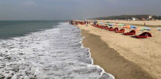 রটারড্যাম সমুদ্রসৈকতের আদলে কক্সবাজারে বাঁধ তৈরির পরিকল্পনা