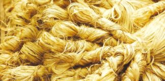 পাটপণ্যে অ্যান্টি ডাম্পিং শুল্কের মেয়াদ আবারও বাড়িয়েছে ভারত