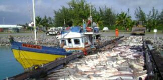 চাগোস দ্বীপপুঞ্জের বড় সমস্যা অবৈধ মাছ শিকার