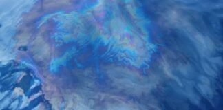 মারপোলের শর্ত লঙ্ঘনের দায়ে মার্কিন আদালতে নরওয়েজিয়ান শিপিং লাইনের বিরুদ্ধে মামলা