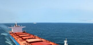 জাপানের ড্রাই বাল্ক আমদানি ৪% কমেছে