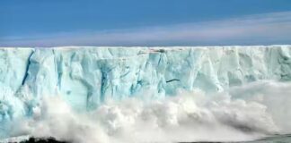 আর্কটিকে শেষ সাত বছর ছিল উষ্ণতম