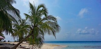 কাগোস দ্বীপপুঞ্জের নিয়ন্ত্রণ হস্তান্তরের বিষয়ে যুক্তরাজ্য-মরিশাস আলোচনা শুরু