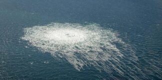 দুটি স্পেশাল-পারপাস শিপ কেনার পরিকল্পনা থেকে সরে এসেছে যুক্তরাজ্য