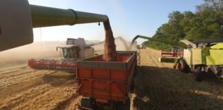 ৫ লাখ টন খাদ্যশস্য রপ্তানি করবে রাশিয়া