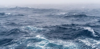 বিশ্বে সমুদ্রের নির্জনতম স্থানেও বিষাক্ত পদার্থের উপস্থিতি শনাক্ত