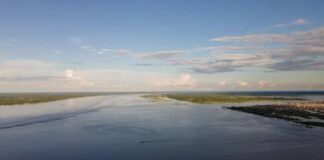 পেরুতে দুটি ট্যাংকারে আদিবাসী বিক্ষোভকারীদের হামলা