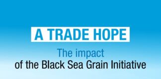 কৃষ্ণসাগর শস্য চুক্তি নবায়নে রুশ প্রেসিডেন্টকে জাতিসংঘ মহাসচিবের চিঠি