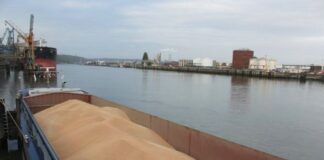 কৃষ্ণ সাগরীয় নিরাপদ করিডোর চুক্তি থেকে সরে আসার সিদ্ধান্ত রাশিয়ার