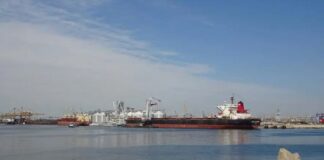 দানিউবে জাহাজ চলাচল স্বাভাবিক করতে হিমশিম খাচ্ছেন রপ্তানিকারকরা