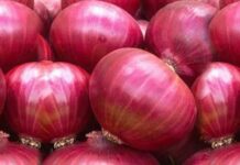 পেঁয়াজ আমদানির অনুমতি দেওয়া হবে সীমিত আকারে