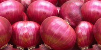 পেঁয়াজের আমদানিতে শুল্ক প্রত্যাহারের সুপারিশ বিটিটিসির