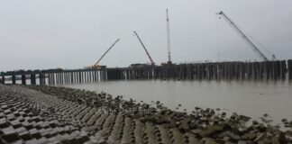 অক্টোবরে পায়রা বন্দরের প্রথম টার্মিনাল চালুর সম্ভাবনা