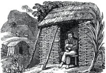 আলেকজান্ডার সেলকার্ক