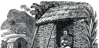 আলেকজান্ডার সেলকার্ক