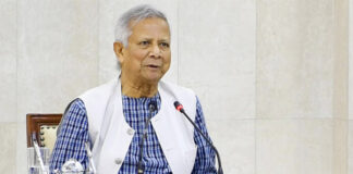 লালদিয়া হবে দেশের প্রথম বিশ্বমানের গ্রিন পোর্ট: প্রধান উপদেষ্টা