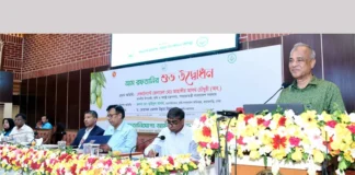 যুক্তরাষ্ট্র ও জার্মানিসহ পাঁচ দেশে আম রপ্তানি শুরু