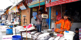 মাছ-মাংস-দুধে নেপালের স্বনির্ভরতার উদ্যোগে হোঁচট