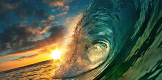 বায়োফাউলিং এবং জিএইচজির বিরুদ্ধে জোটের শক্তি বাড়ল