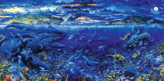 জীববৈচিত্র্যে বঙ্গোপসাগর: রূপে-রঙে-রসে