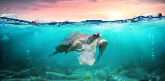 সমুদ্রের স্বাস্থ্য সুরক্ষায় নতুন উদ্যোগ