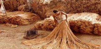 পাট উৎপাদন ও রপ্তানি বৃদ্ধিতে অবদান রাখায় পুরস্কৃত হল ১১ ব্যক্তি ও প্রতিষ্ঠান